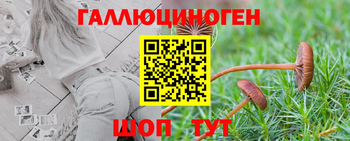 Псилоцибиновые грибы MAGIC MUSHROOMS Ачхой-Мартан