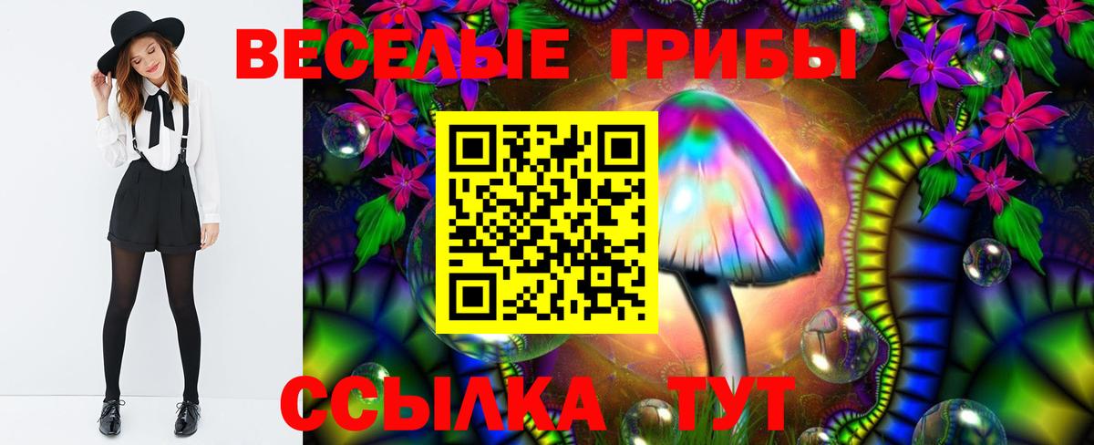 Ачхой-Мартан  Псилоцибиновые грибы мухоморы  Вход с VPN 